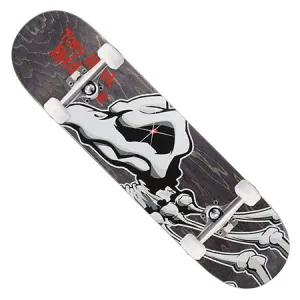 Birdhouse Tony Hawk Falcon 1 Complete Skateboard