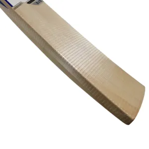 CBB Cricket Bat Face Mesh Anti Scuff Sheet 15x5 Protects Bat Face