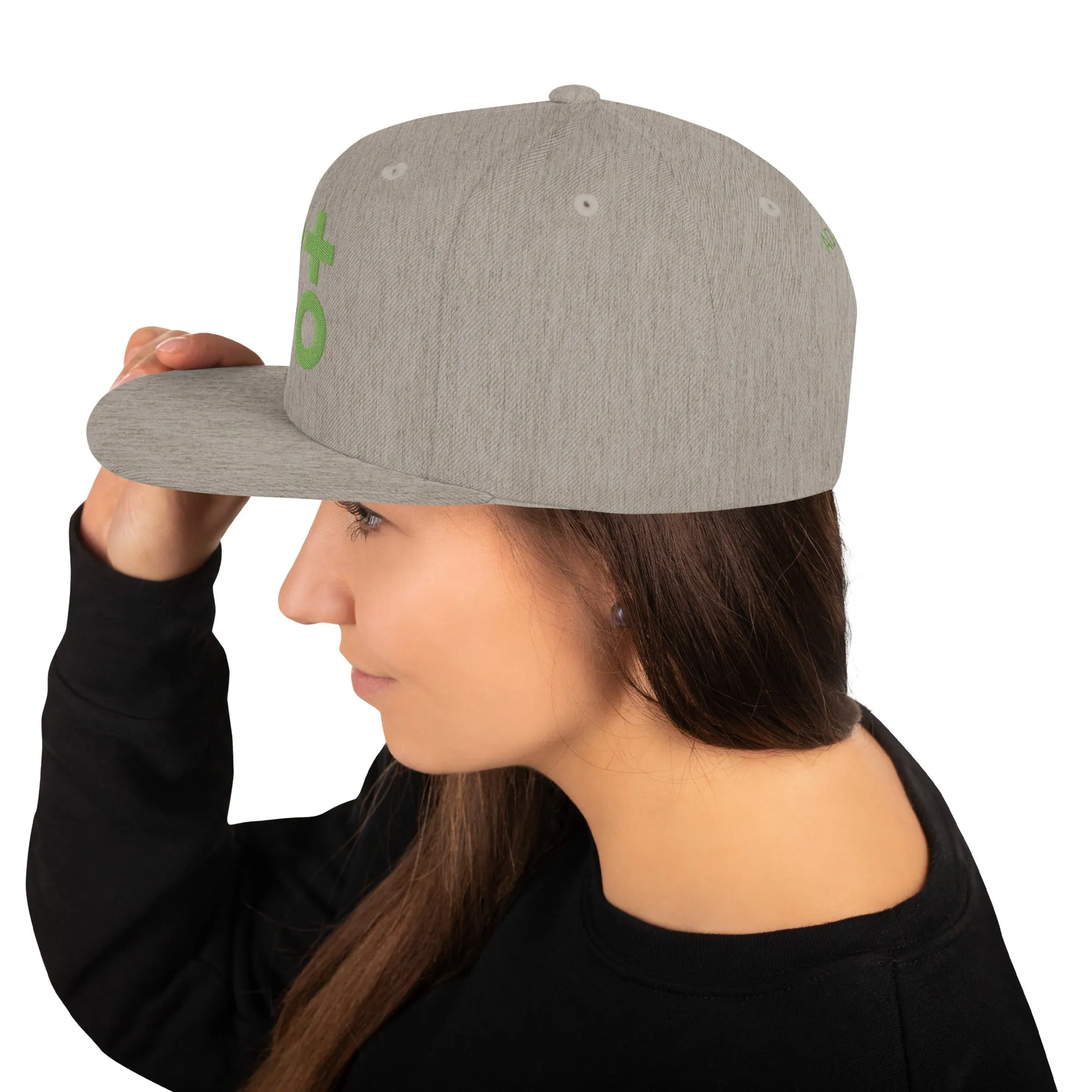 Kiwi Green Otto Women's and Men's Snapback Hat