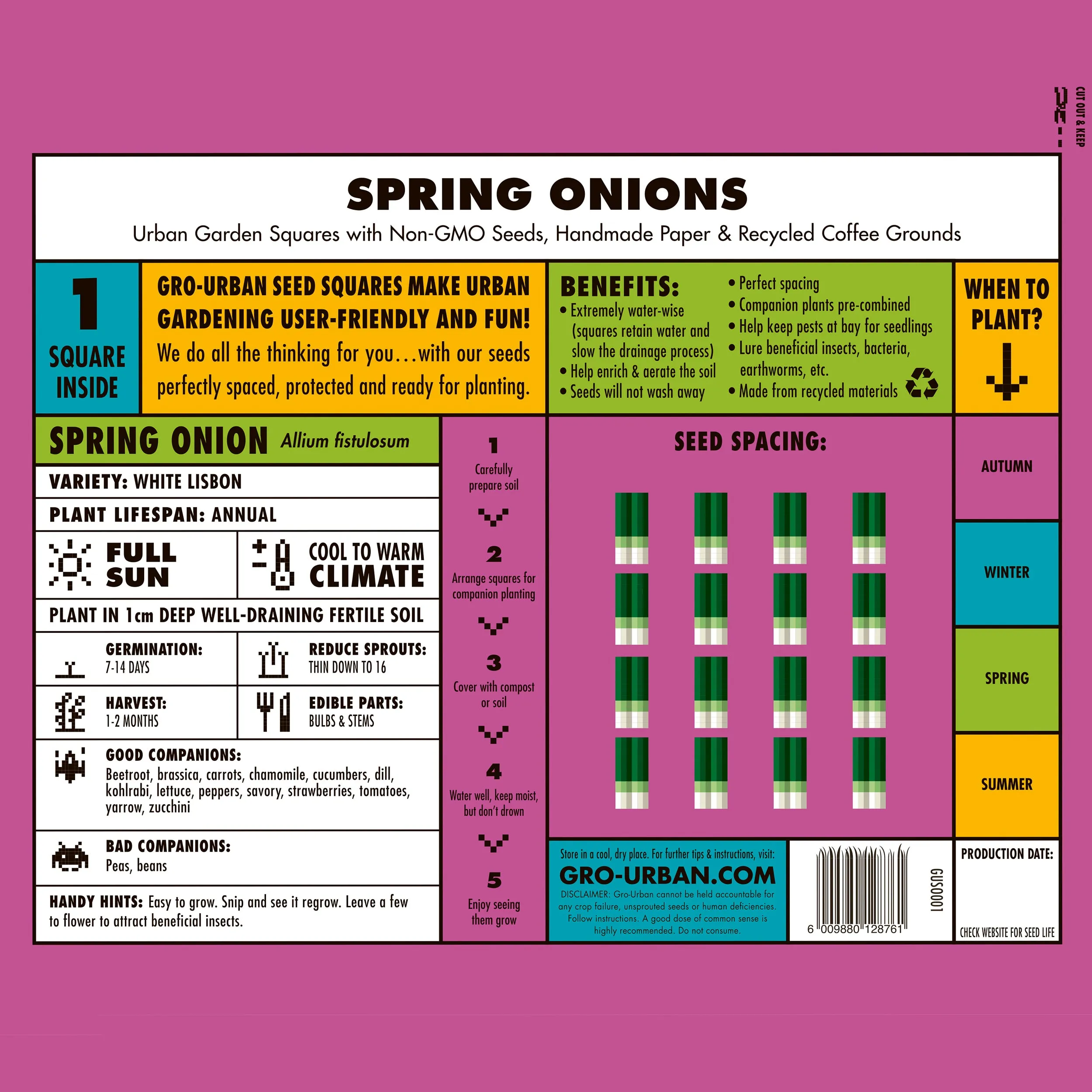 Spring Onion