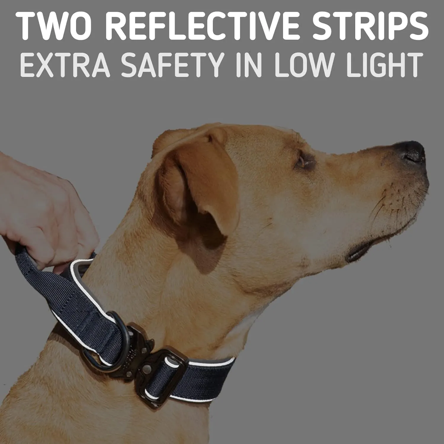 Tactical Dog Collar with Reflective Strips and Cobra Buckle